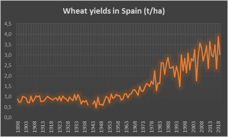 Graphic shows wheat yields in Spain from 1898 to 2018